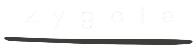 Zygote