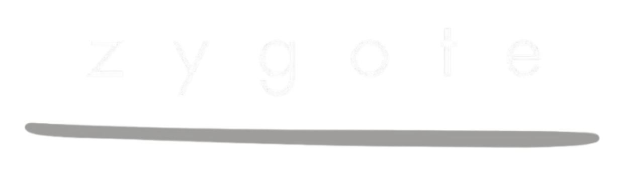 Zygote